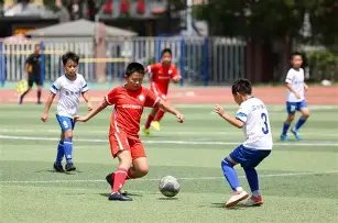 全运无奖牌,探索竞技体,育新胜利模,奇异果体育平台,奇异果体育官方网站,奇异果体育登录入口,奇异果体育app下载