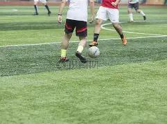 奇异果体育,资讯,奇异果体育平台,奇异果体育平台,奇异果体育官方网站,奇异果体育登录入口,奇异果体育app下载