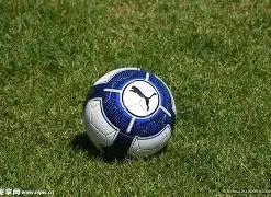 保罗告别赛,细数其,次全明星,奇异果体育平台,奇异果体育官方网站,奇异果体育登录入口,奇异果体育app下载