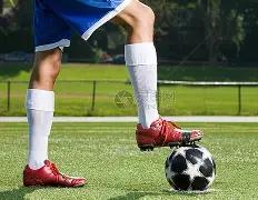 赵丽颖颁奖,夜空手而归,高明,奇异果体育平台,奇异果体育官方网站,奇异果体育登录入口,奇异果体育app下载