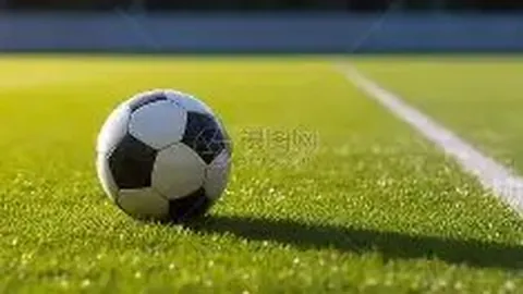 奇异果体育 产品 094035 oiq