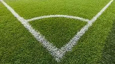 奇异果体育 资讯 110848 fcq