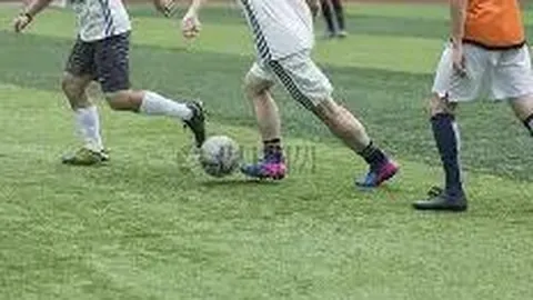 奇异果体育 资讯 111428 ngv