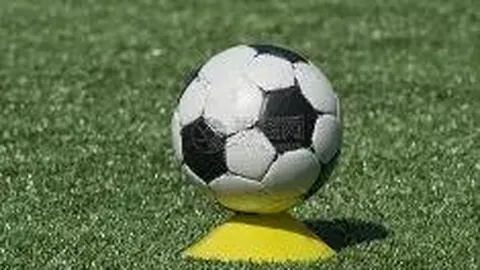 奇异果体育 产品 095618 2fw